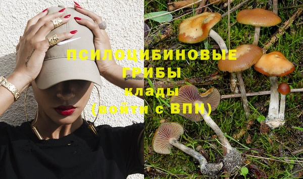 ГАЛЛЮЦИНОГЕННЫЕ ГРИБЫ Алексеевка