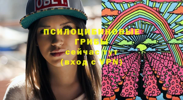 герыч Алексин