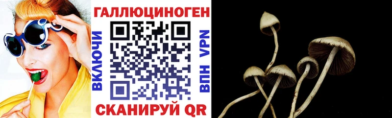 Галлюциногенные грибы ЛСД  Купить  Суздаль 